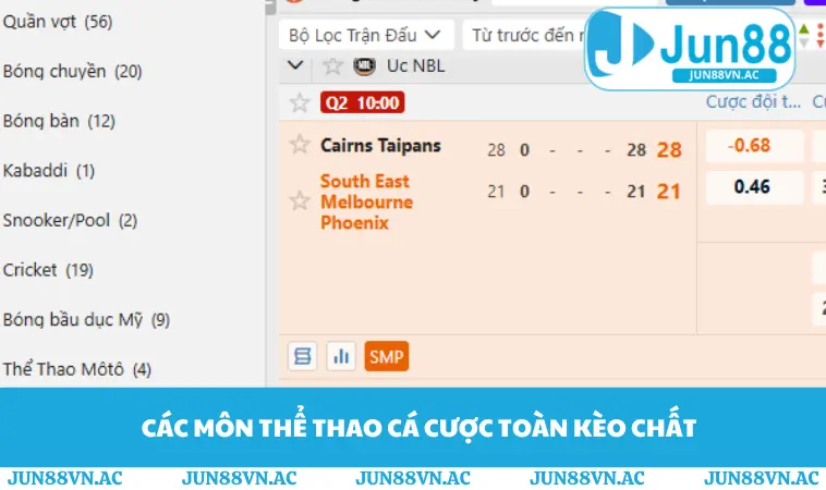 Các môn thể thao cá cược toàn kèo chất