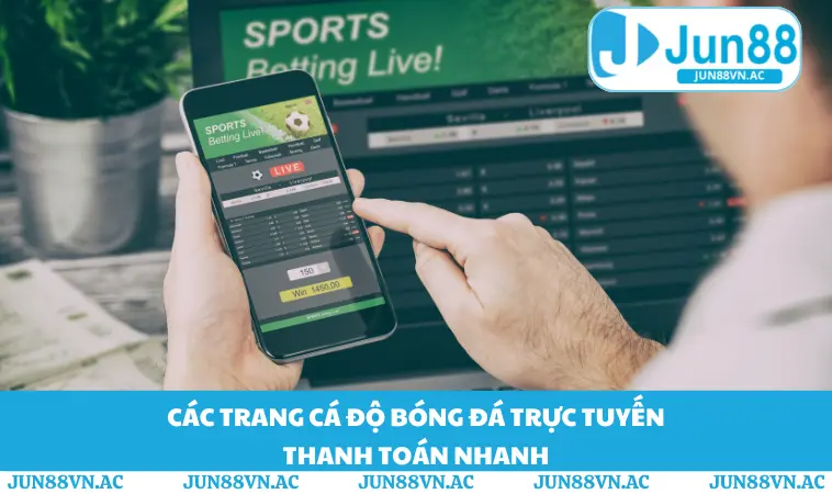 Các trang cá độ bóng đá trực tuyến thanh toán nhanh
